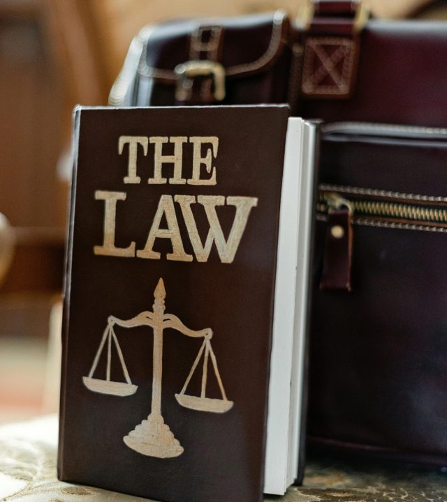 pexels-mikhail-nilov-8731031